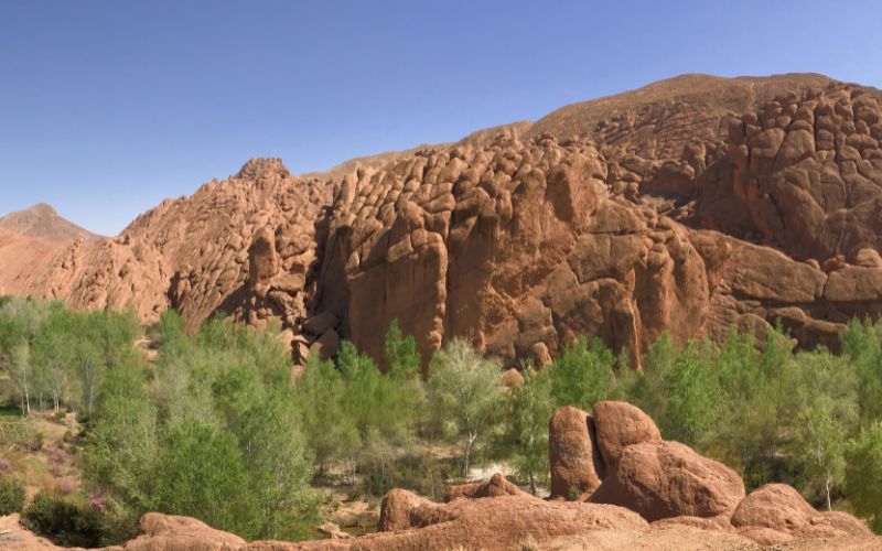 4 days desert tour from Marrakech to Merzouga